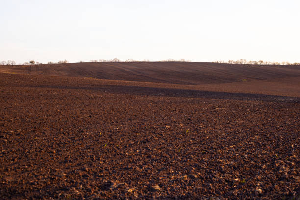 istock hilly brown field landscape, spring agricultural field 1223653510