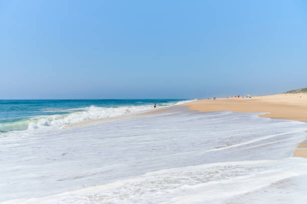 istock Long sandy beach on a sunny day 1223653806