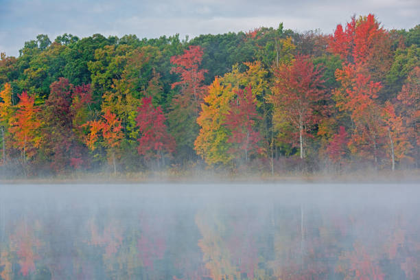 istock Autumn Deep Lake in Fog 1223656935