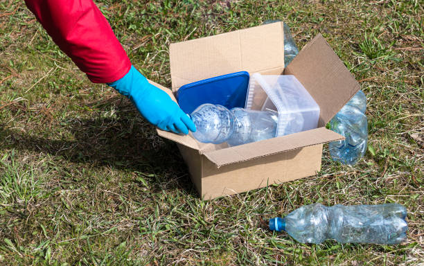 istock The girl collects plastic garbage in a box. Environmental protection 1223657409