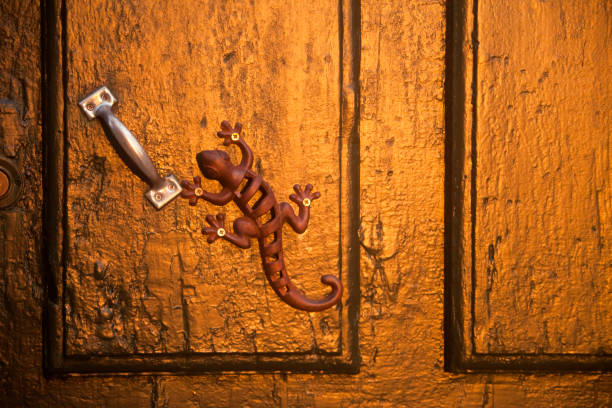 Wire Lizard Trinket