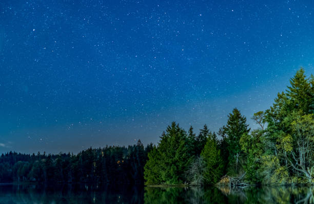 istock Starry Skies Over Mud Bay 1223661963