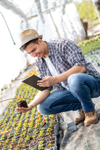 istock Worker at a Garden Center, Holding a Plant and Tablet 1223663807
