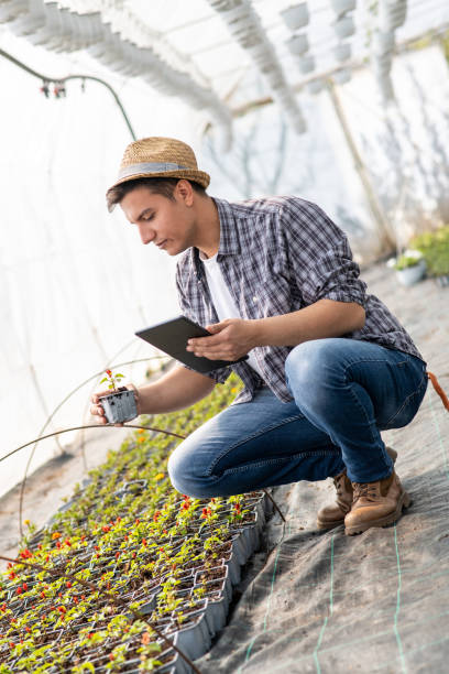 istock Worker at a Garden Center, Holding a Plant and Tablet 1223663836