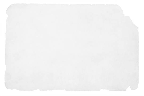 古いほつれた白い色のグランジ紙のベクトルの背景 - backgrounds history textile torn点のイラスト素材／クリップアート素材／マンガ素材／アイコン素材