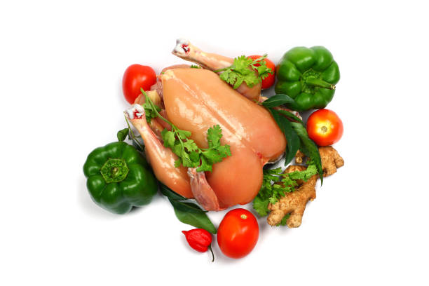 Fresh chicken meat with tomato ginger and capsicum isolated in white background