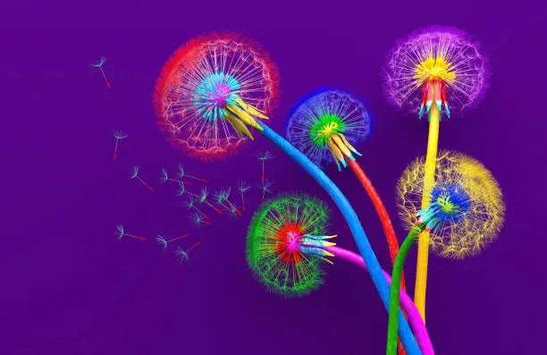 Photo of Bouquet of five flowers of blossoming dandelions of unusual colorful colors. Bright multi-colored abstract dandelions on a purple background. Creative conceptual illustration. opy space. 3D render