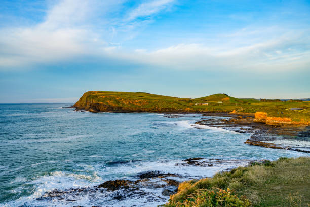 istock Curio Bay Cliffs at dawn, Catlins, Southland, New Zealand 1223670228