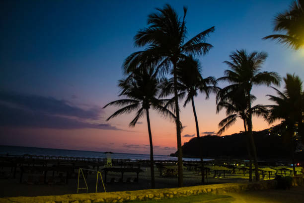 istock Acapulco Beach with pink sky and palmtrees 1223670523