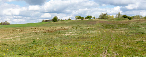 istock panorama lanscape with grass and nice blue sky 1223671462