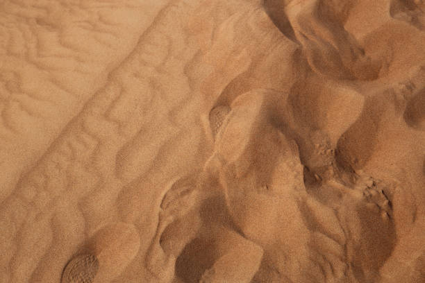 istock Red Sand Dunes in Sharjah, UAE during a Sunny Day 1223671634