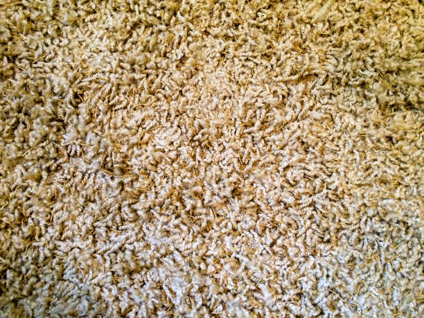 Close up of carpet fibers for modern design background