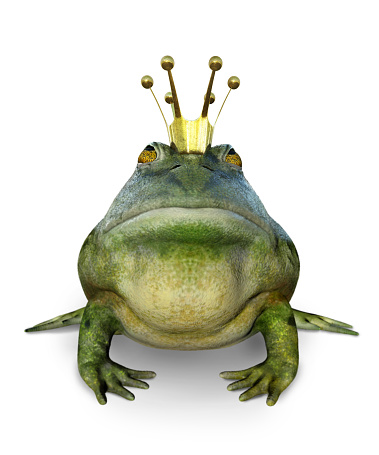 illustration green Frog with a red purse