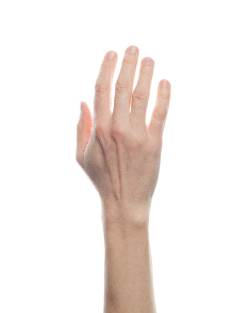 istock Empty taking man hand isolated on white. Hand holding person 1223675646