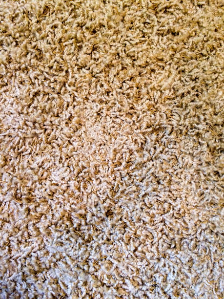 Close up of carpet fibers for modern design background