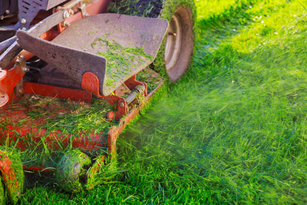 istock Man cutting lawn with using a gasoline mower 1223676010