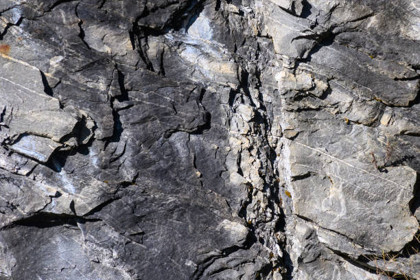 Nature Abstract: Pattern Created by Cracks and Crevices in a Solid Rock Wall – Foto