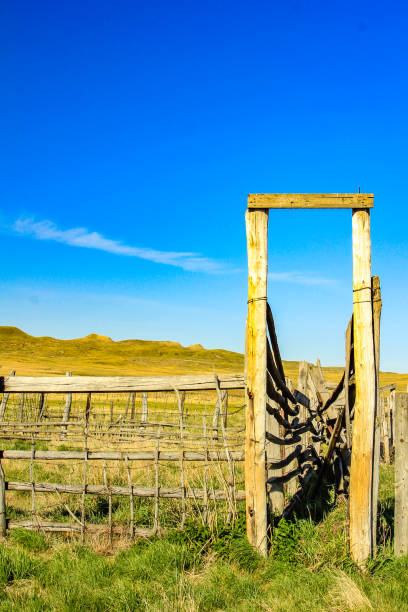 istock Dixon Ranch in summer. Grasslands. National Park, Saskatchewan, Canada 1223677027