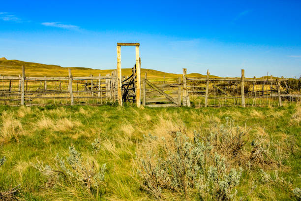 istock Dixon Ranch in summer. Grasslands. National Park, Saskatchewan, Canada 1223677030