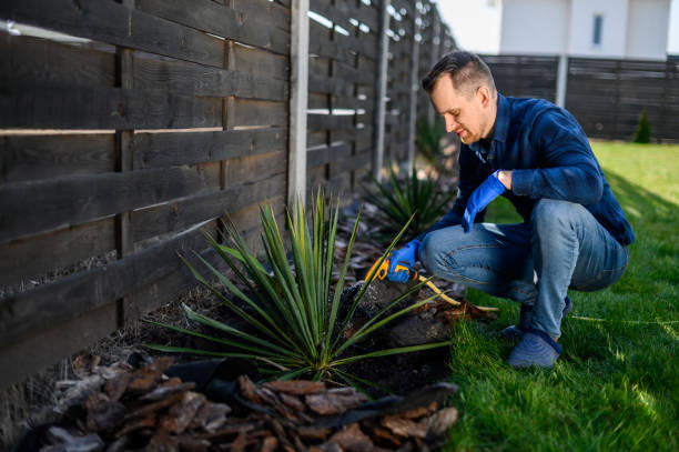 istock A guy gardener planting a bush 1223677396
