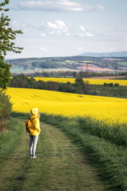 istock Hiker standing in rural scenery and looking at rapeseed field 1223678673