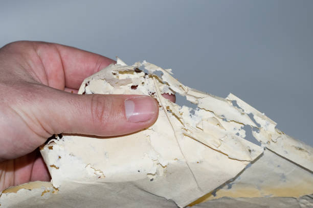 istock Enveloped with silverfish, envelopes of records in the man's hand. 1223685780