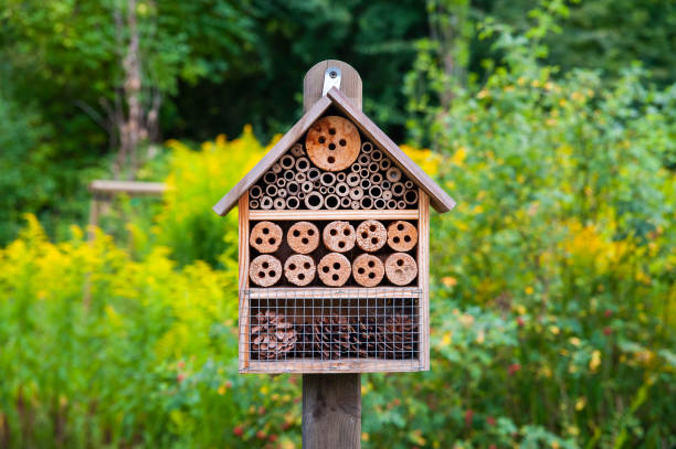 istock Insect hotel in the city park 1223685956