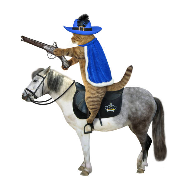 istock Cat in blue cloak rides horse 1223687244