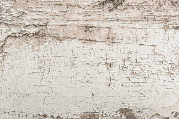 texture du panneau de bois avec la vieille peinture blanche fissurée fissurée de peaux de près vers le haut avec des fissures et des rayures. modèle abstrait de fond comme arrière-plan pour votre conception avec l’espace de copie et le lieu pour le  - peeling paint wall white photos et images de collection