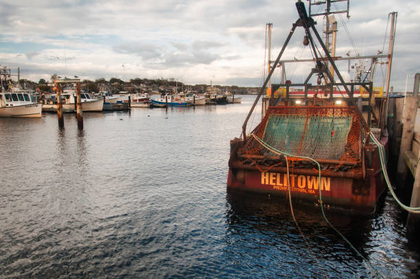 barco de pesca atracado en provincetown, massachusetts - mac millan fotografías e imágenes de stock