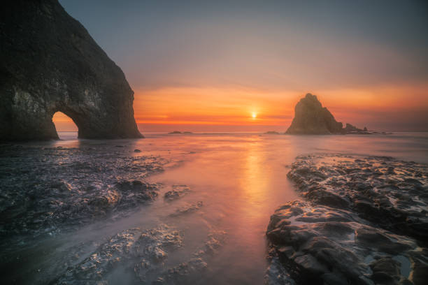 istock Olympic National Park at dusk 1223689625