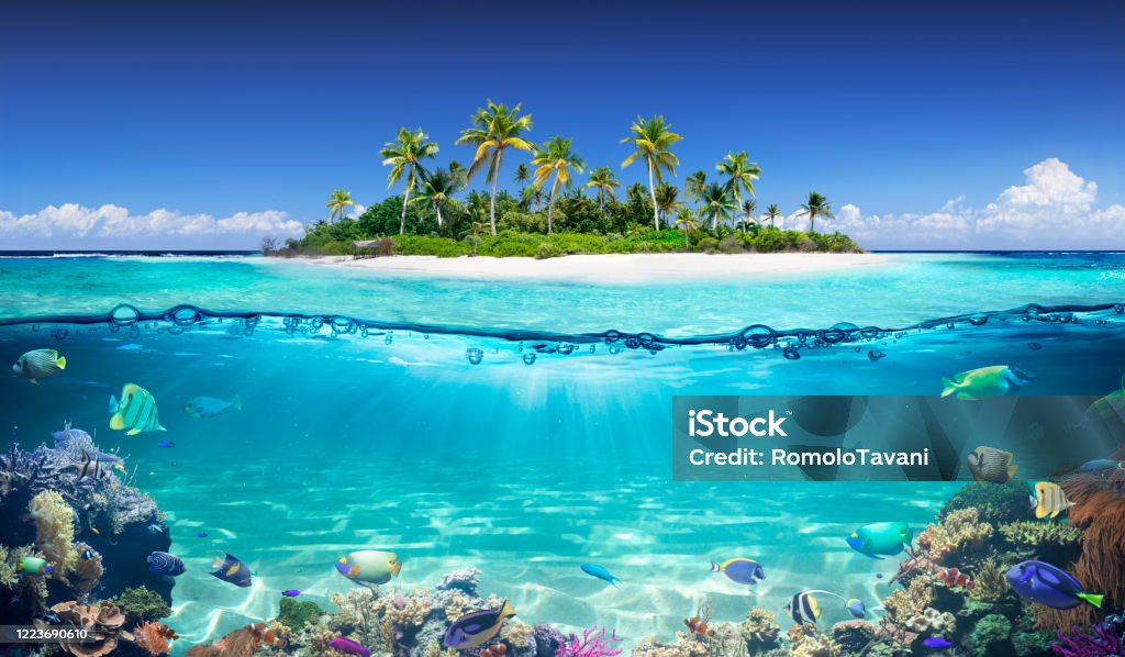 Tropical Island And Coral Reef - Split View With Waterline Split View Of Tropical Island And Coral Reef Beach Stock Photo