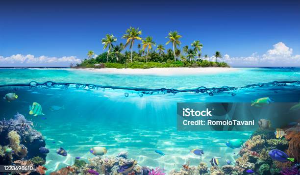 Tropical Island And Coral Reef Split View With Waterline Stock Photo - Download Image Now
