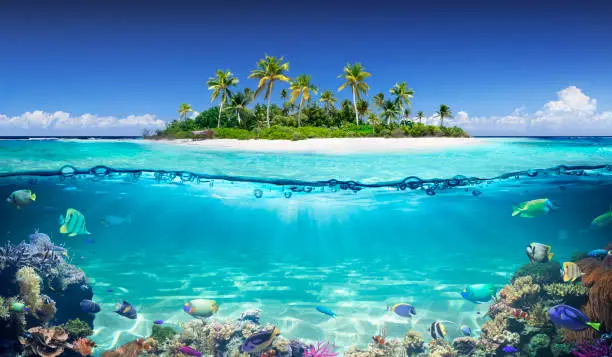 Photo of Tropical Island And Coral Reef - Split View With Waterline