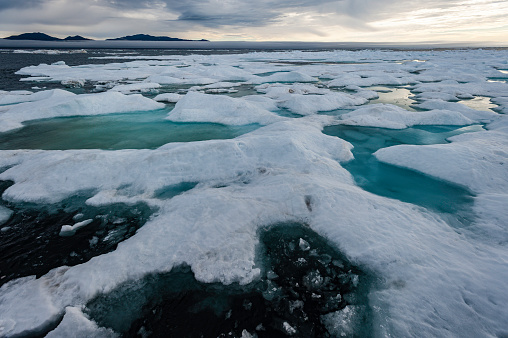 Pack ice or sea ice that is breaking up  near Wrangel Island, Chukotka Autonomous Okrug, Russia.