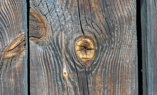 istock The brown wood texture with natural patterns 1223692431
