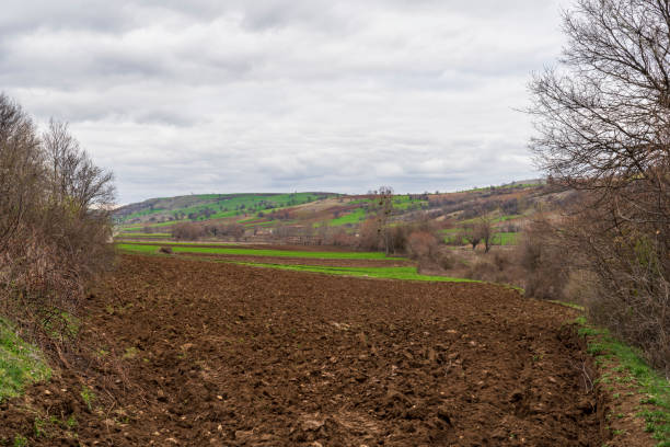 istock Agricultural field, freshly plowed field 1223693605