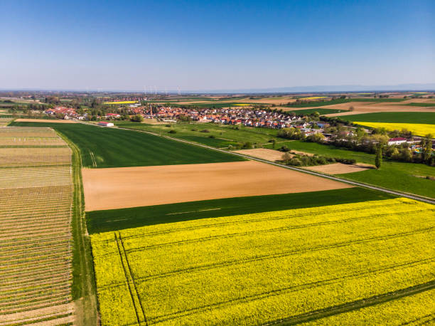 istock Beautiful field of yellow rapeseed from above. Green fields. Grape fields. A small German village. Beautiful blue sky. Wind farms. 1223694492
