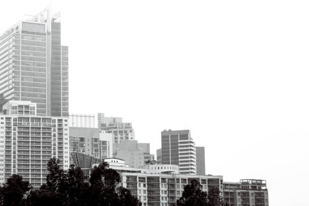 Black and white city skyline with office building, white background with copy space, Sydney Australia, full frame horizontal composition