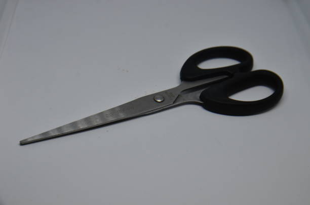 istock Metallic scissors with black holder on white background 1223695712