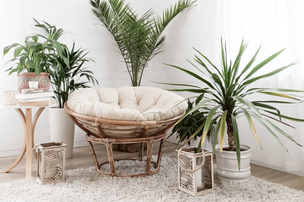 istock House with cozy boho ethnic interior with plants. 1223696129