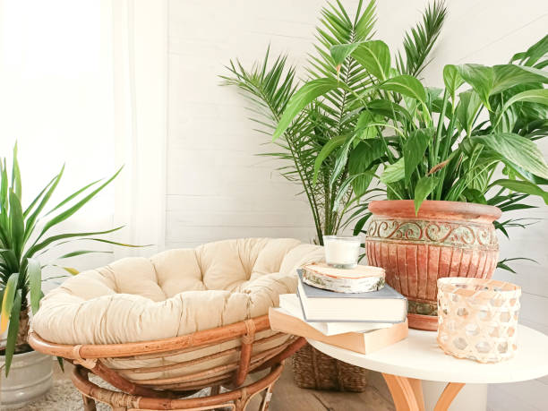 istock House with cozy boho ethnic interior with plants. 1223696140