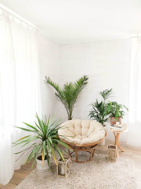 istock House with cozy boho ethnic interior with plants. 1223696676