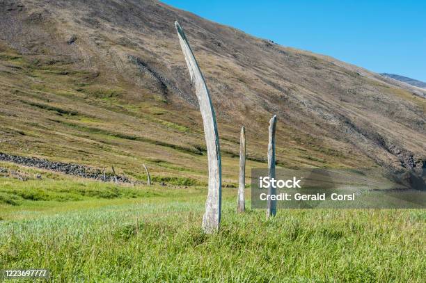 Whalebone Alley Or Whale Bone Alley On The Northern Shore Of Yttygran Island Chukotka Autonomous Okrug Russia Stock Photo - Download Image Now