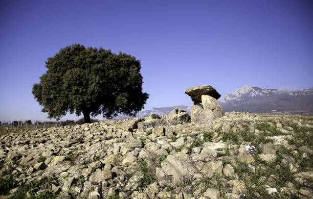 vecchi dolmen di pietra - dolmen stone grave ancient foto e immagini stock