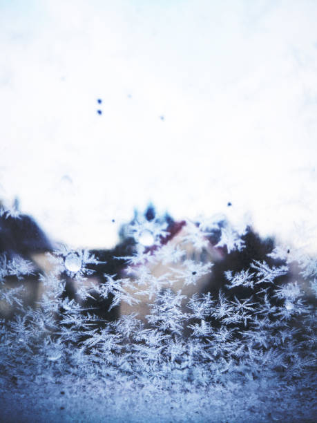 istock Snow flowers on the glass 1223703940