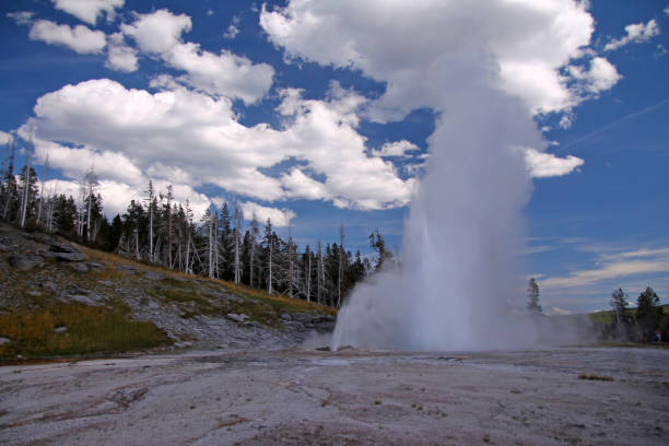 istock A Geyser eruption into the clouds! 1223704086