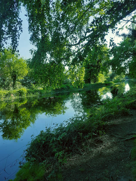 This stunning photo was captured showing how reflective water can be on a nice sunny day. This would be a great background or educational image.