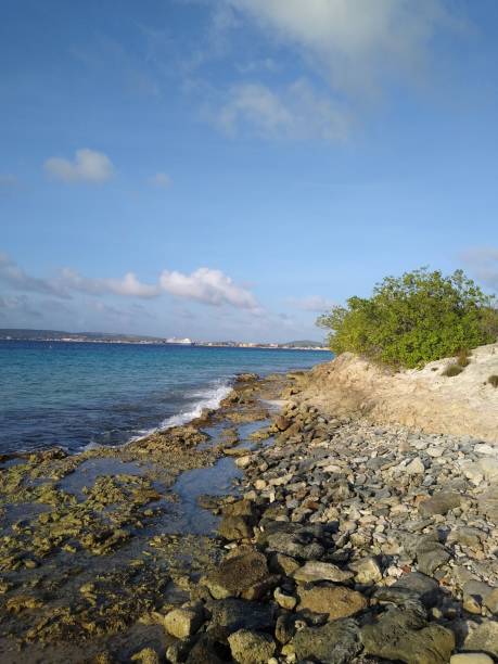 istock Bonaire, Caribbean Coast 1223717046