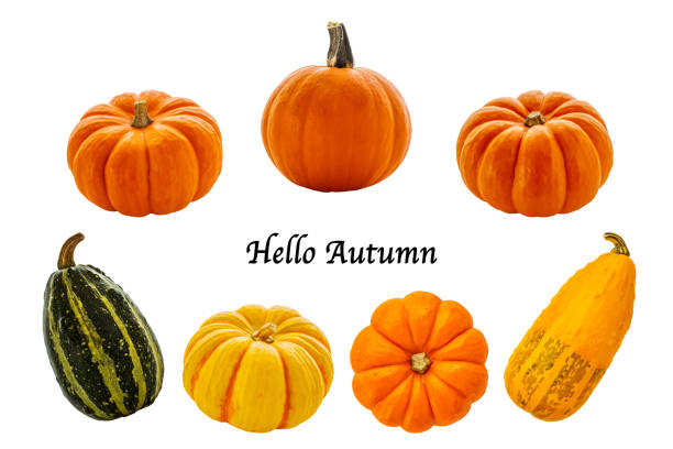 Orange pumpkin, white background, isolated